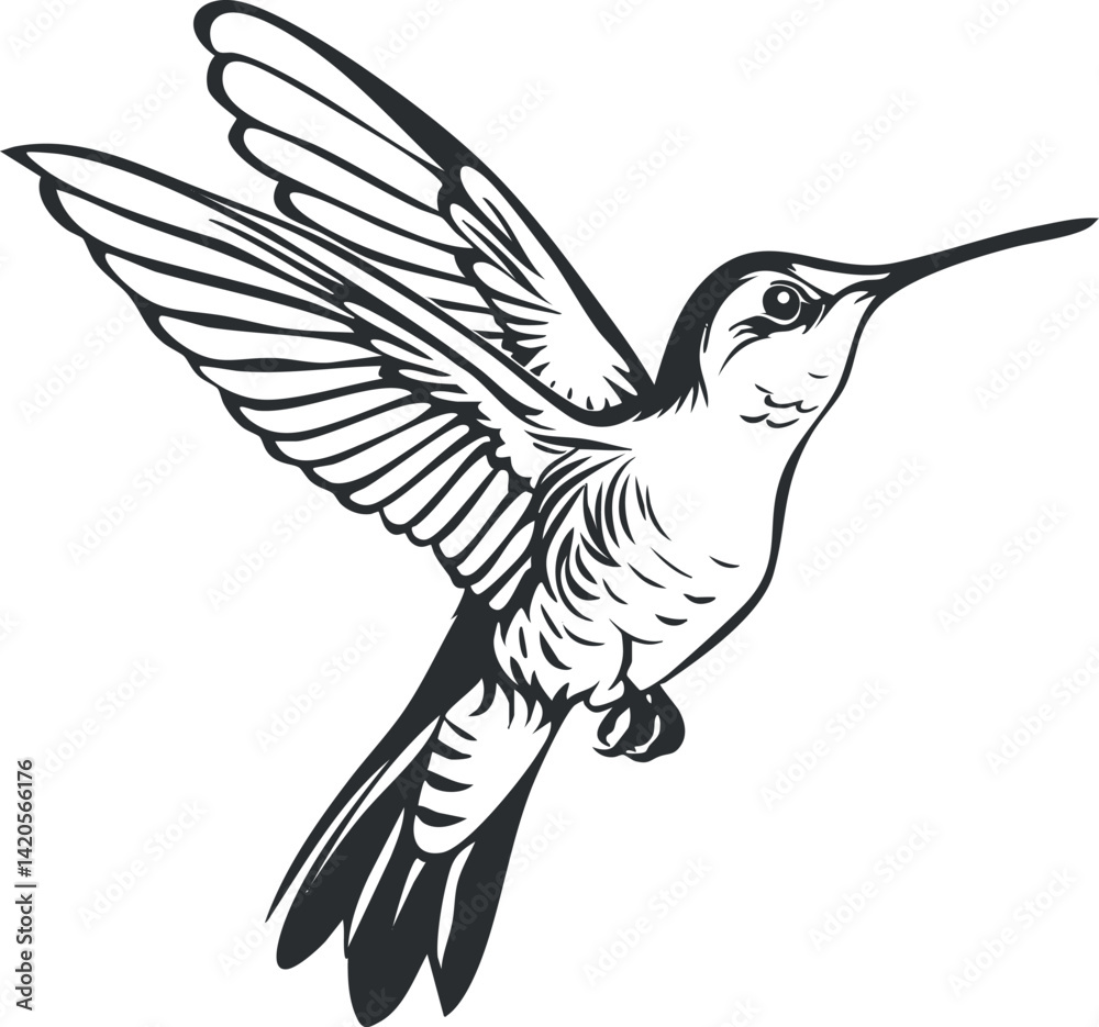 Fototapeta premium A detailed illustration of a hummingbird in flight showcasing its vibrant wings and delicate features.