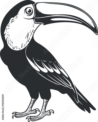 Stylized illustration of a toucan bird showcasing its colorful beak and feathers.