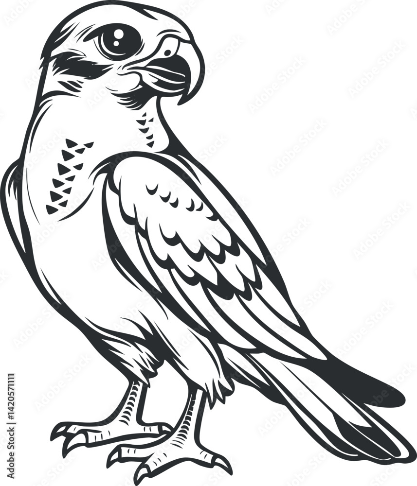 Fototapeta premium A detailed illustration of a falcon perched elegantly, showcasing its feathers and sharp features.