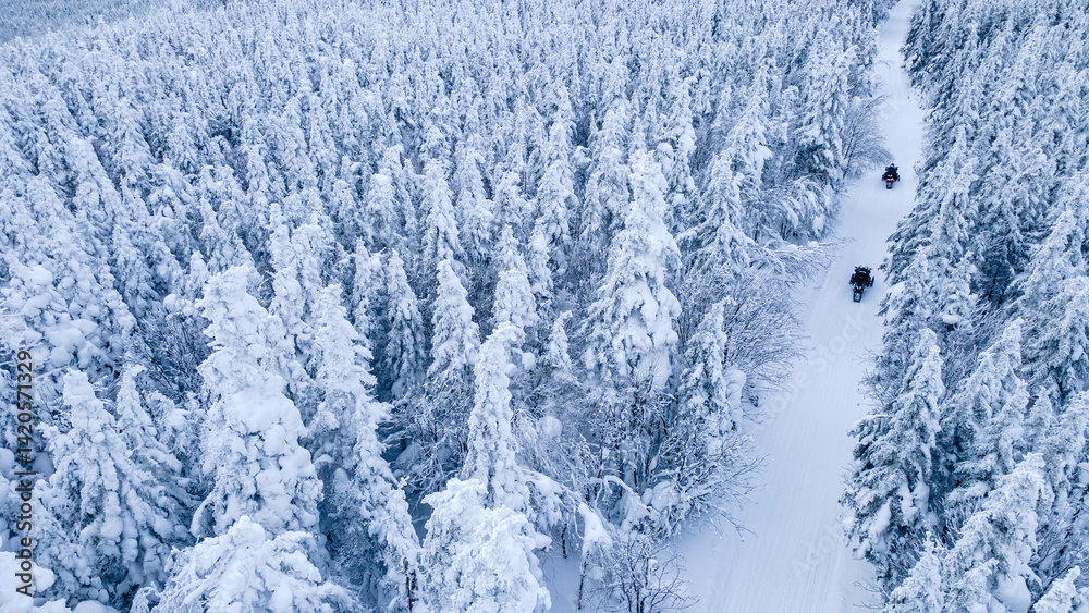 Fototapeta premium Aerial view of snowmobiles on a trail through the snow-covered boreal forest forming snow ghosts on a cold winter day