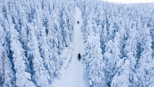 фотографія Aerial view of snowmobiles on a trail through the snow-covered boreal forest for