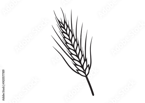 Agriculture wheat ear silhouette Vector