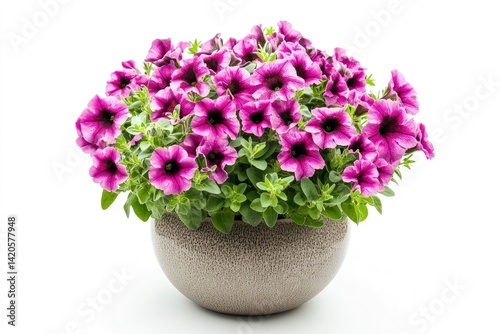 Wallpaper Mural Purple Petunia Flower in Pot Torontodigital.ca