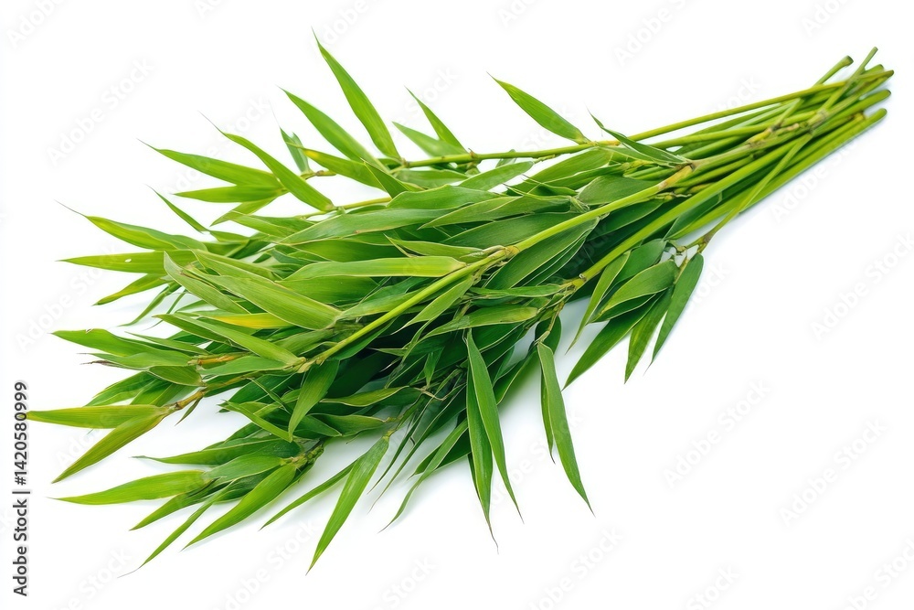 Fototapeta premium Green Bamboo Stalks and Leaves