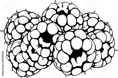 A Cluster Of Fresh Raspberries Black And White Illustration