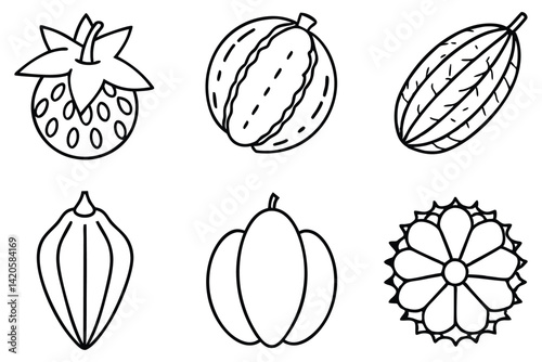 Hand Sketched Hala Fruit Collection