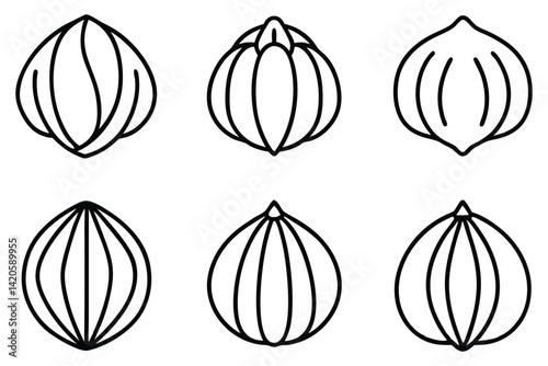 Hazel Nut Icon Set for Packaging