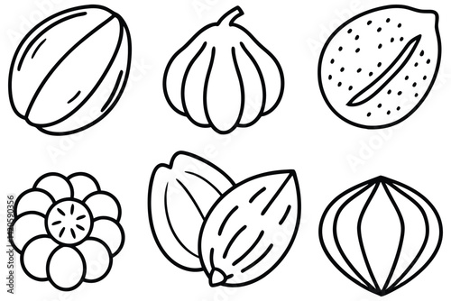 Botanical Hazel Nut Vector Art Pack