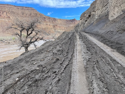 Fotografie Muddy Road in the Desert