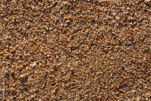 The coastline of the Red Sea. Sand, pebbles, corals, fossils. Background with a marine theme.