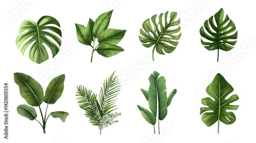 Summer tropic leaves design collection. geometric sim