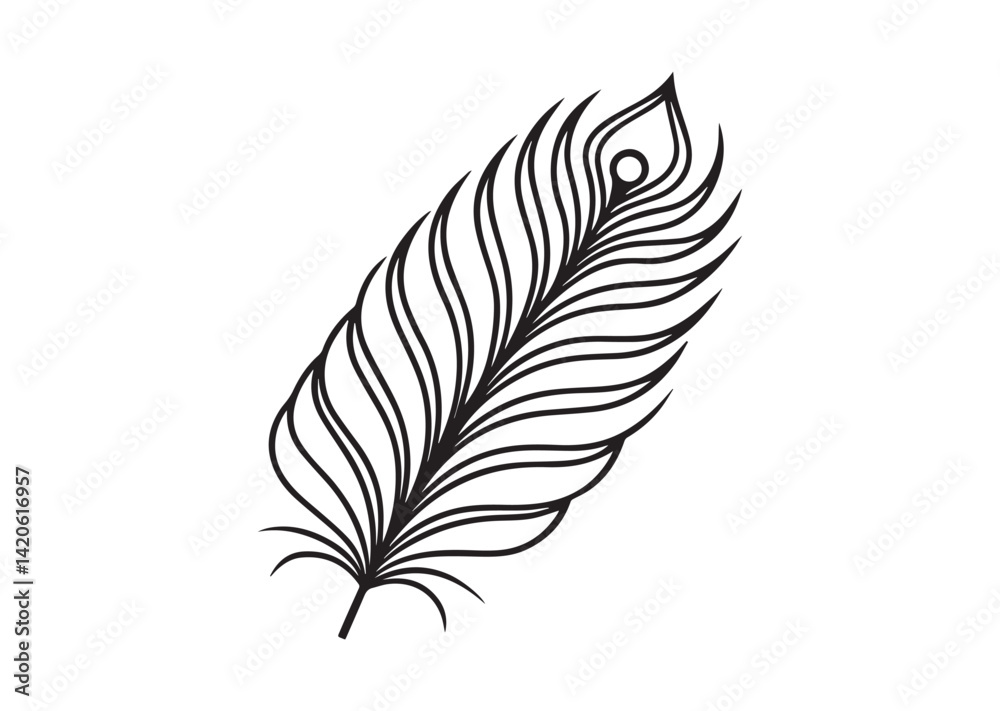 Obraz premium Peacock Feather silhouette vector