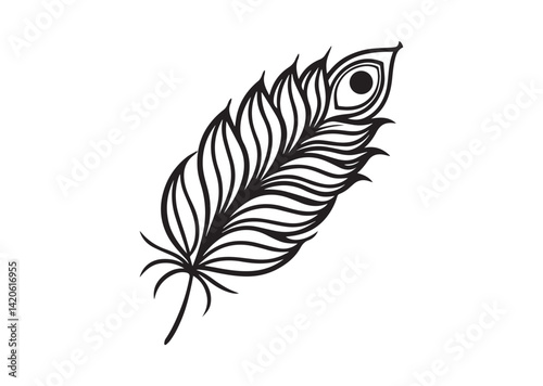 Peacock Feather silhouette vector