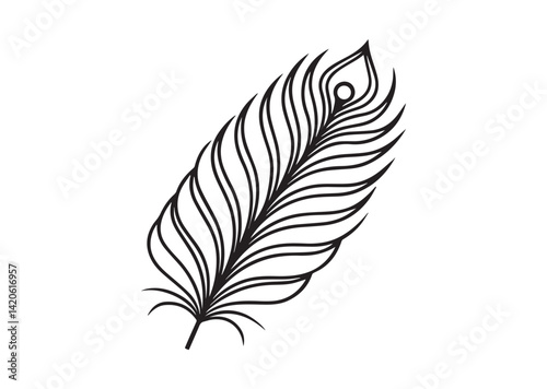 Peacock Feather silhouette vector