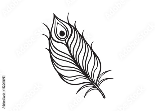 Peacock Feather silhouette vector
