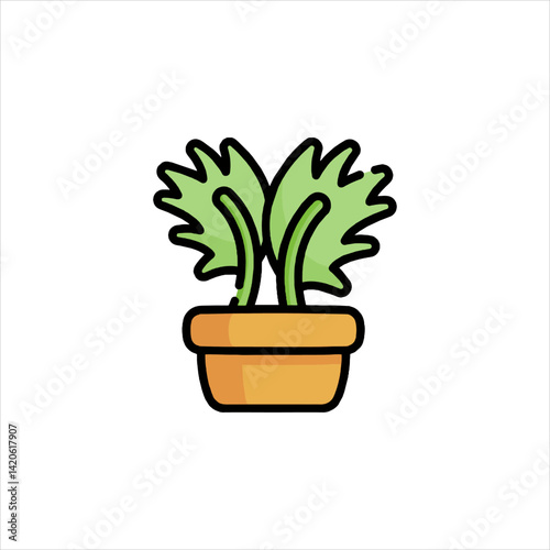 plant in pot