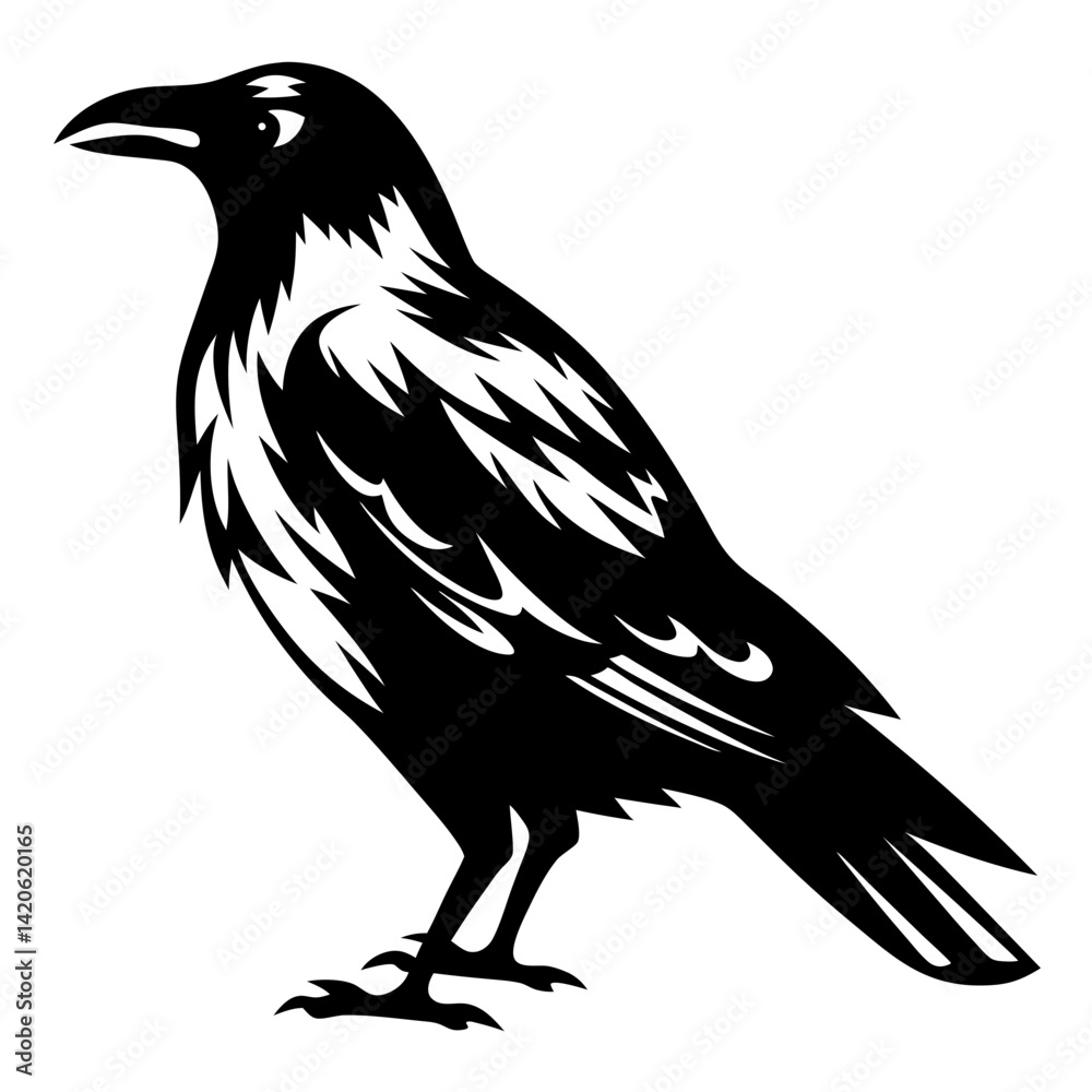 Stylized black and white image of a standing raven silhouette with details Stylized black and white image of a standing raven silhouette with details