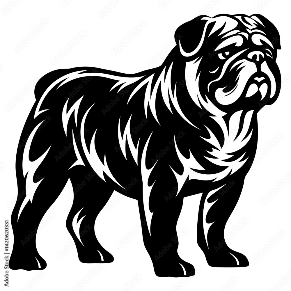 Strong graphic style black and white illustration of an English Bulldog Strong graphic style black and white illustration of an English Bulldog