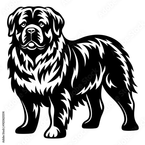 Wallpaper Mural Magnificent Newfoundland Dog Portrait with Black and White Abstract Fur Markings Torontodigital.ca