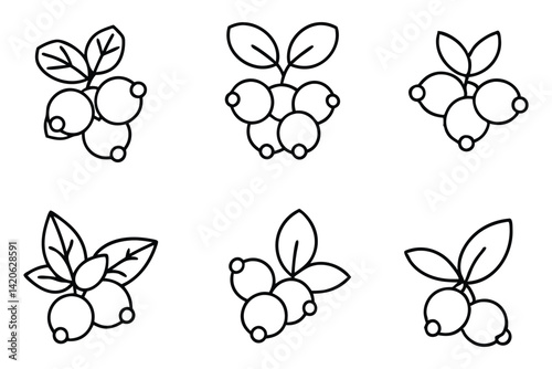 healthy lingonberry fruit selection