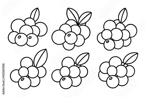 lingonberry fruit collection