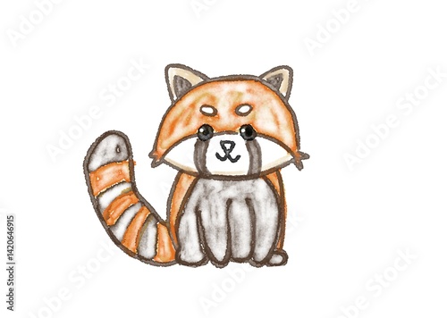 Lesser Panda  photo