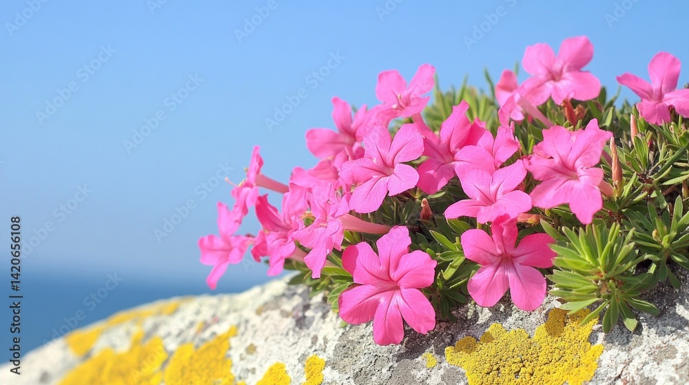 custom made wallpaper toronto digitalBright pink flowers cluster on a rocky outcrop against a bright blue sky.