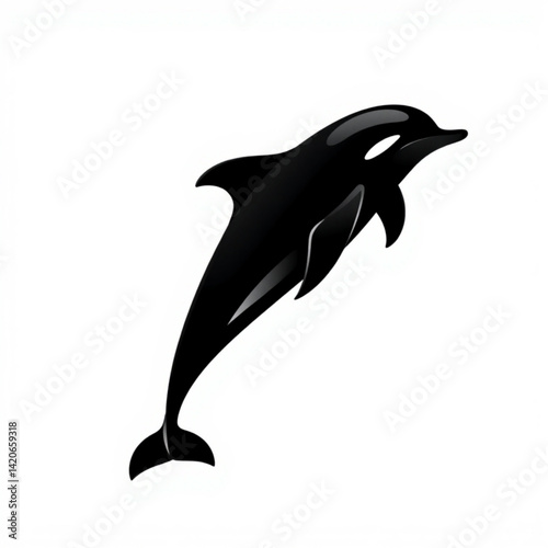 Isolated black and white killer whale