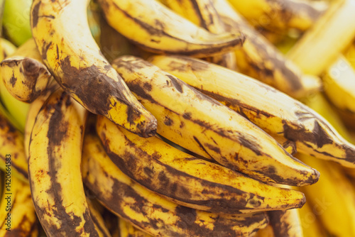 Group of Bananas yellow for sale