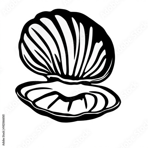 Open black and white scallop shell