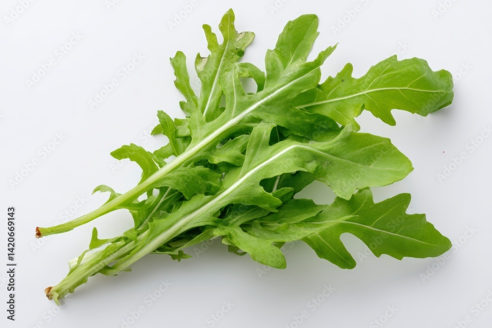High quality studio photo of fresh arugula leaves arranged neatly, isolated on white, perfect for food photography or culinary concepts.