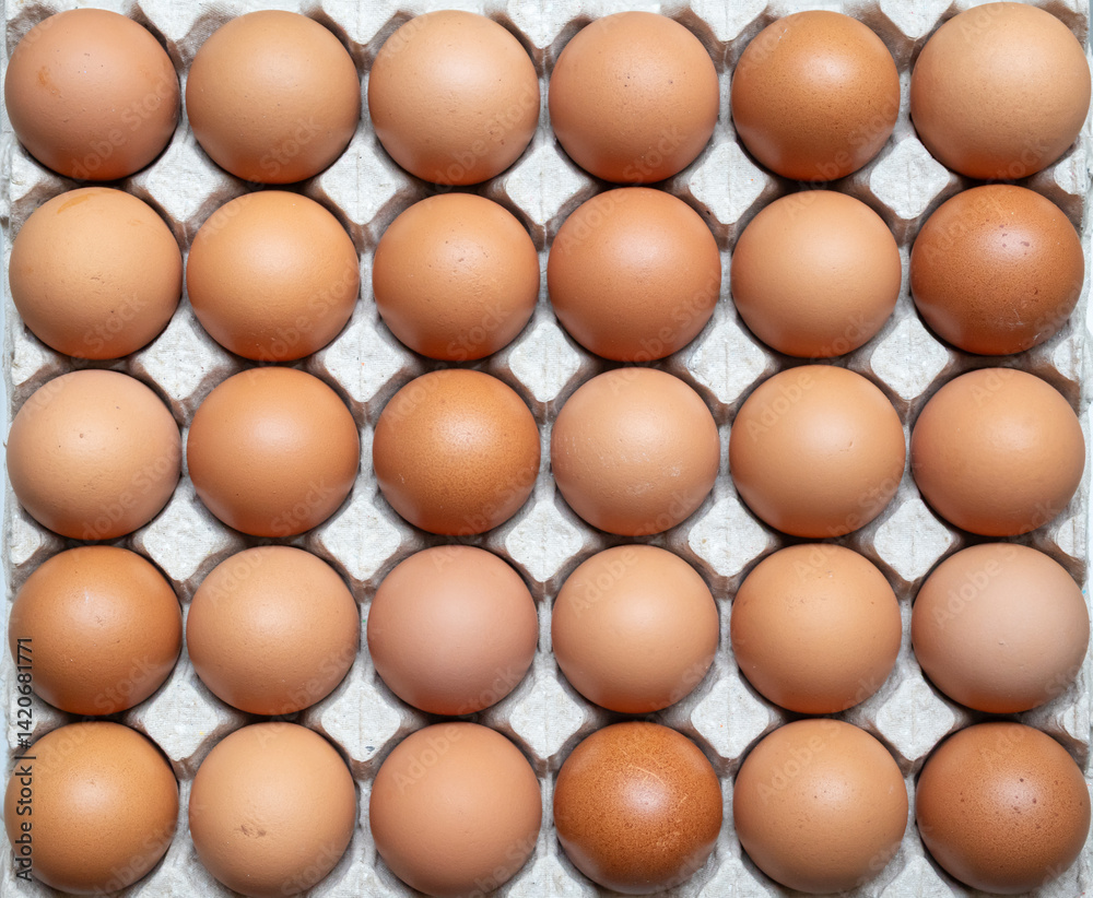 Fresh organic brown chicken eggs in cardboard tray Fresh organic brown chicken eggs in cardboard tray