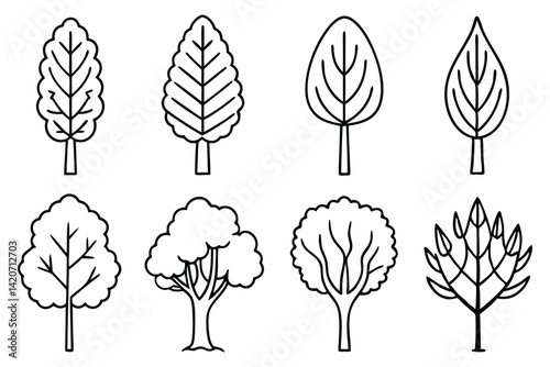 Different Poplar Tree Types on White Background