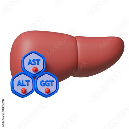 Clinical chemistry 3d icon. Liver with hepatocyte labelled with liver AST, ALT and GGT enzyme. photo
