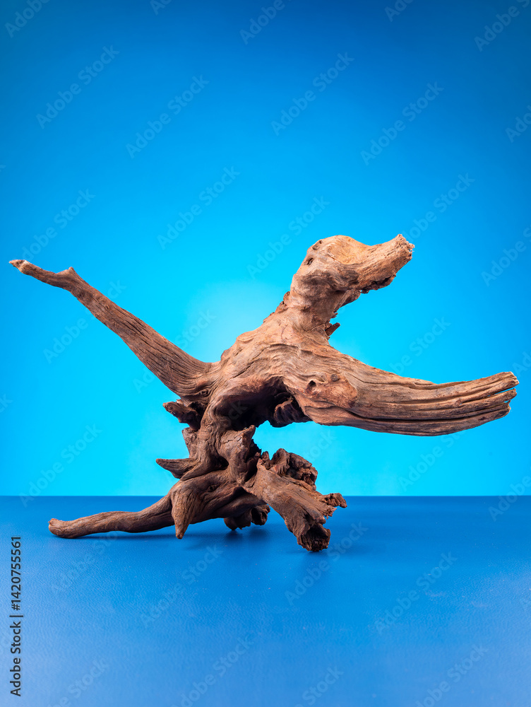 Obraz premium Close-up of elegant wooden driftwood suitable for aquarium or terrarium use on purple backdrop