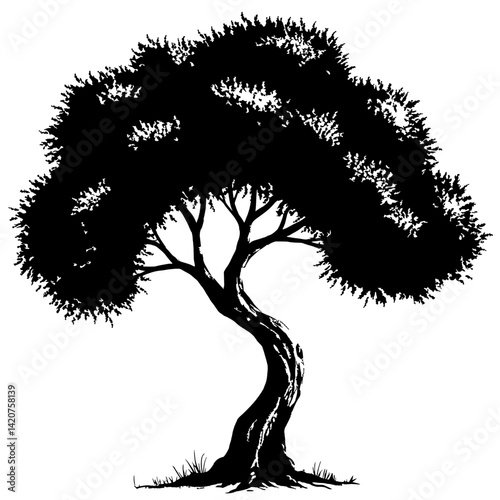 Silhouette of Serenity: The stark silhouette of an aged tree stands resolute against the vastness, its branches and foliage telling tales of time.