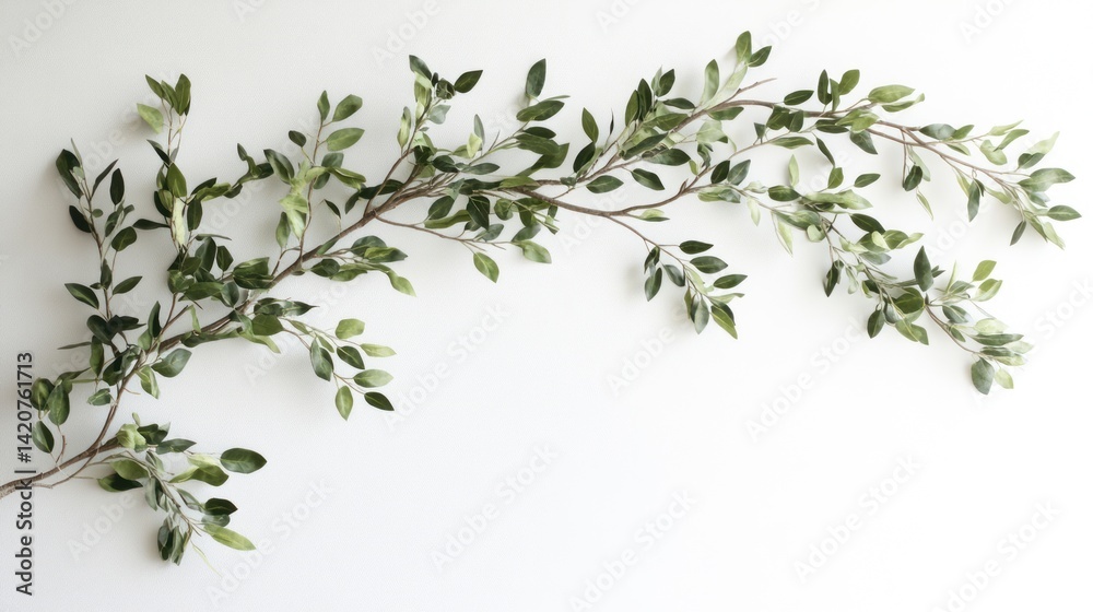 Delicate foliage arrangement with small, lush green leaves on winding branches