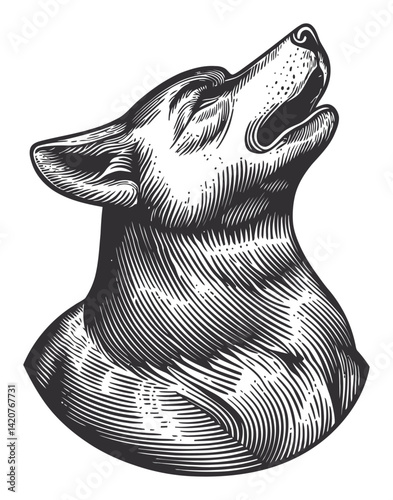 Hand-Drawn Engraving of Howling Dog with Detailed Line Work