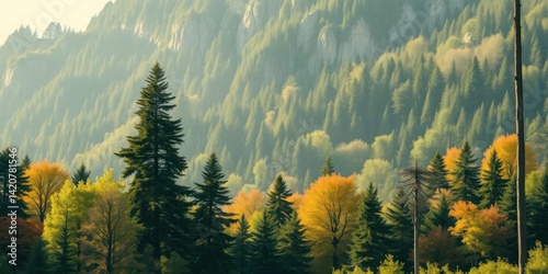 Majestic Mountain Landscape Autumn Forest Green Pines Golden Leaves