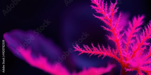 Vivid Pink Plant Closeup Nature Macro Photography Abstract Background