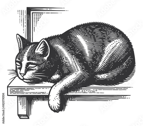 Hand-Drawn Engraving of Resting Cat on Ledged Surface