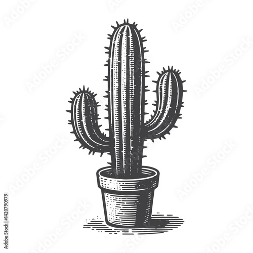 Simple Mature Cactus Vector Icon Design – Vintage Retro Logo & Illustration