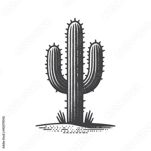 Simple Mature Cactus Vector Icon Design – Vintage Retro Logo & Illustration