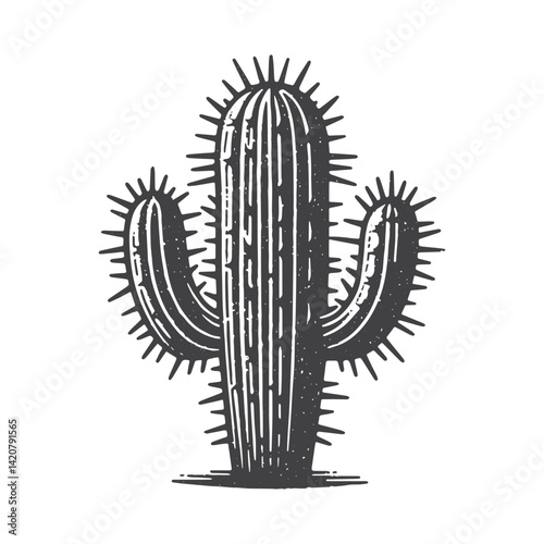 Simple Mature Cactus Vector Icon Design – Vintage Retro Logo & Illustration