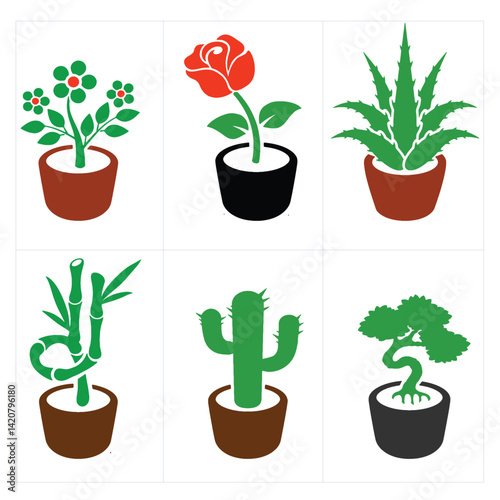 A collection of young potted plants and seedlings growing in pots with leaves and flowers