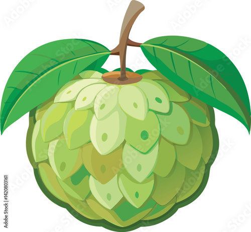 A vibrant vector art illustration showcasing a delicious, ripe custard apple with rich details, perfect for food-themed designs and projects.