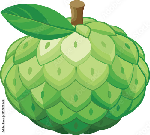 A vibrant vector art illustration showcasing a delicious, ripe custard apple with rich details, perfect for food-themed designs and projects.