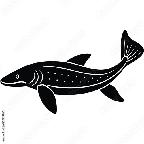 beluga sturgeon  vector