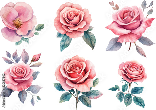 Watercolor Pink Rose Petals