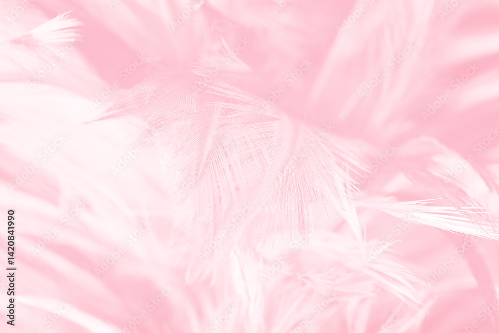 Beautiful abstract soft pink feather pattern texture background Beautiful abstract soft pink feather pattern texture background